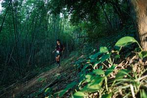 BIB: 
                            <button type="button" onclick="openModal(28124702)" class="btn btn-primary btn-sm float-right btn-popup" data-toggle="modal" data-target=".modal-high-quality">
                        <i class="fas fa-shopping-cart"></i> Add to Cart
                    </button>
                                            <button type="button" onclick="isThisMe(28124702, true)" class="btn btn-success btn-sm float-right btn-popup btn-isme hidden" data-toggle="tooltip" data-placement="bottom" title="นี่คือรูปของคุณใช่ไหม คลิกที่นี่เพื่อเอาเข้าอัลบั้ม">
                        <i class="fas fa-plus"></i> Add to album
                    </button>
                    <button type="button" onclick="isThisMe(28124702, false)" class="btn btn-warning btn-sm float-right btn-popup btn-isnotme hidden">
                        <i class="fas fa-ban"></i> Remove from album
                    </button>